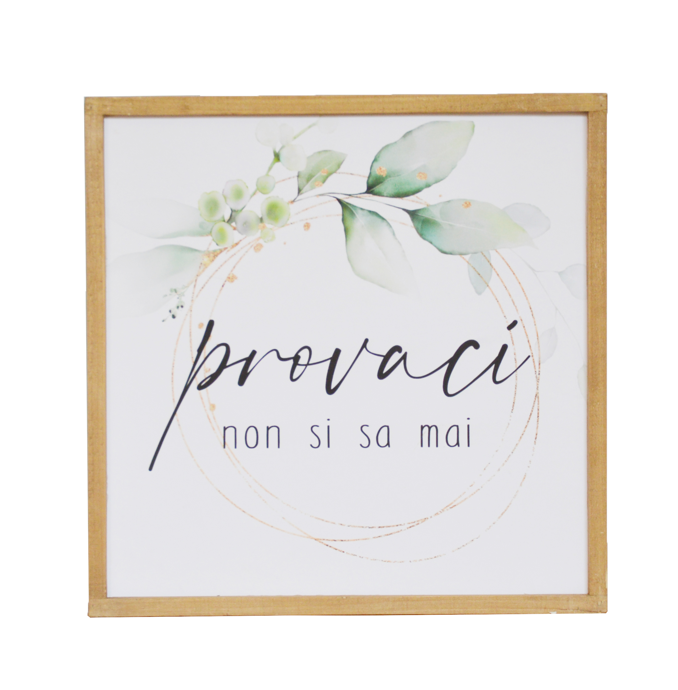 Quadretto scritta provaci non si sa mai