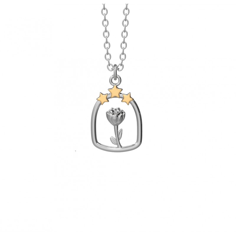 Collana del Piccolo Principe "Una rosa tra le stelle"
